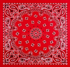 Printed Bandana